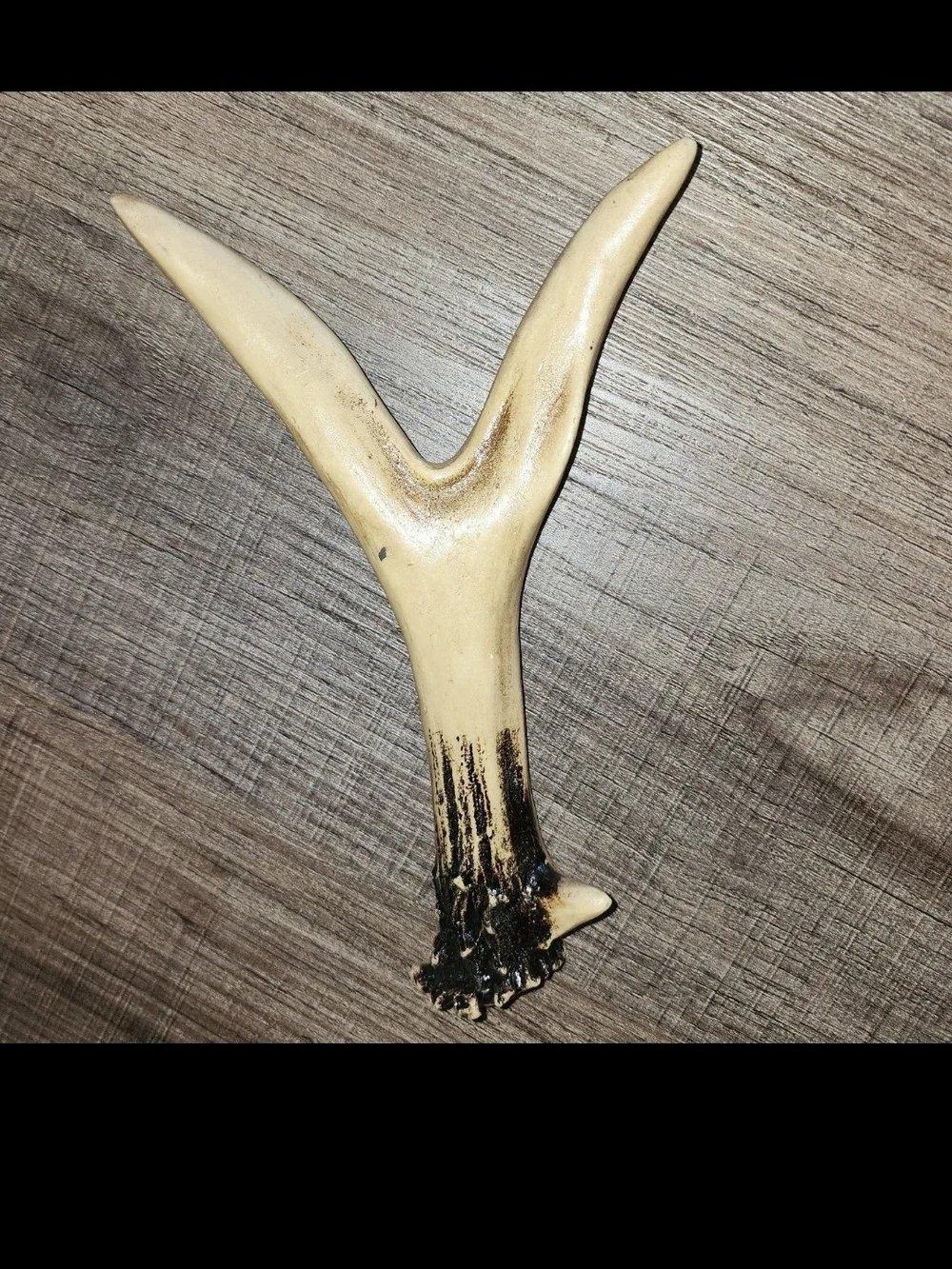 New Hobby Lobby Resin Anter Letter Wall Hanger Y